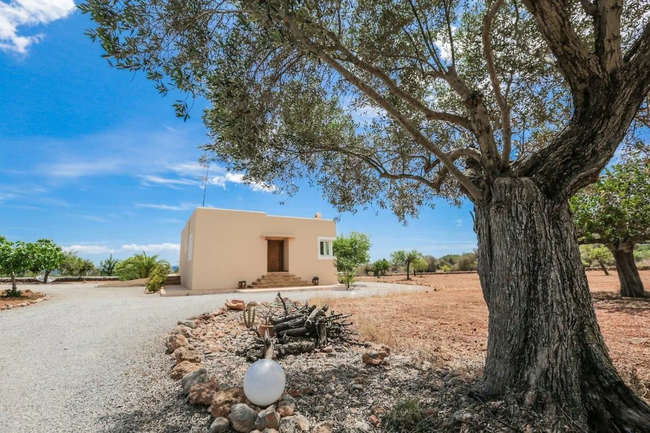 Can Furnet Sant Jordi de ses Salines 0*,  Spagna